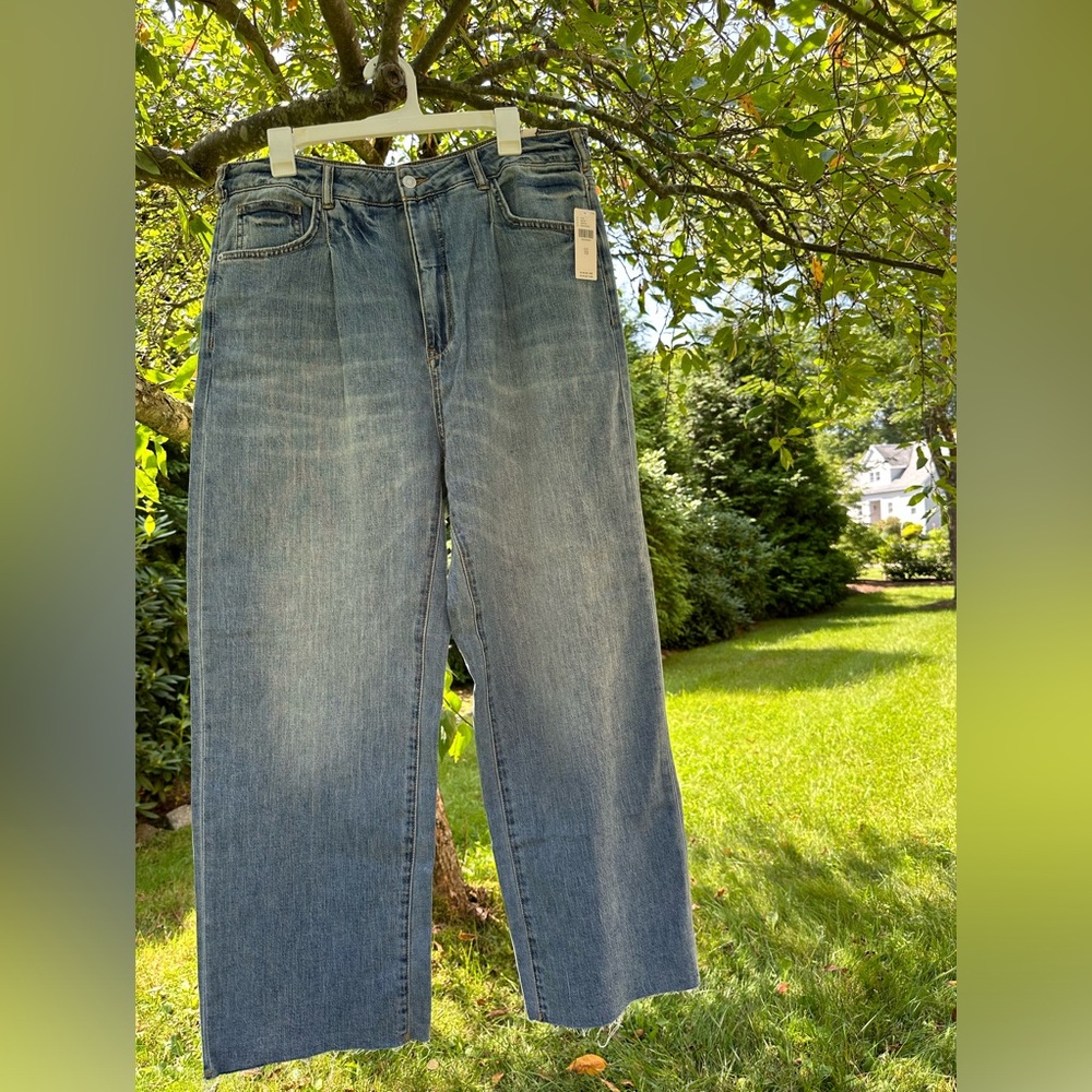 NWT Anthropologie Pilcro Wide Leg Jeans 32